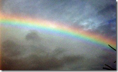 Rainbow Rainbow